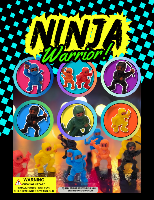 Ninja Warrior Display Card